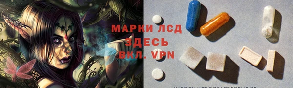 индика Лагань