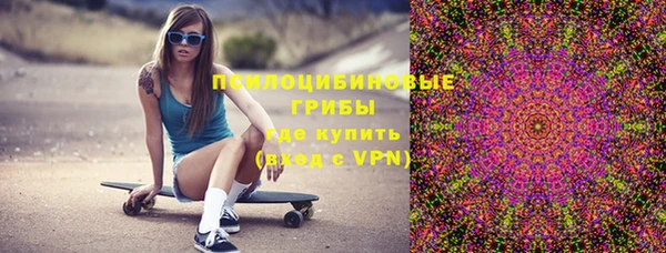 первитин Лабытнанги