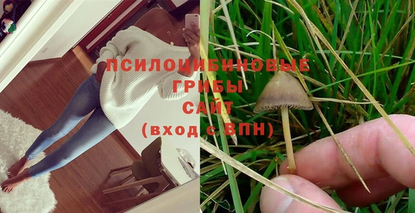 MDMA Ладушкин