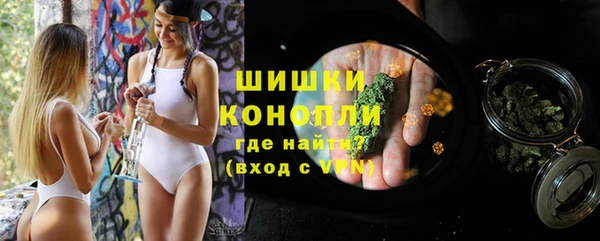 первитин Лабытнанги