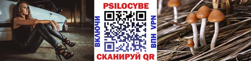 Псилоцибиновые грибы Magic Shrooms  Цивильск 
