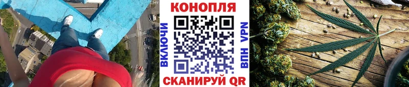 Бошки Шишки конопля  Цивильск 